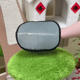 Pet Hair Removal Gloves